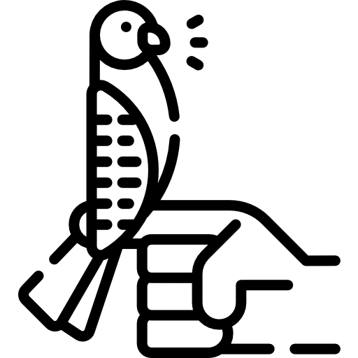 インコ Special Lineal icon