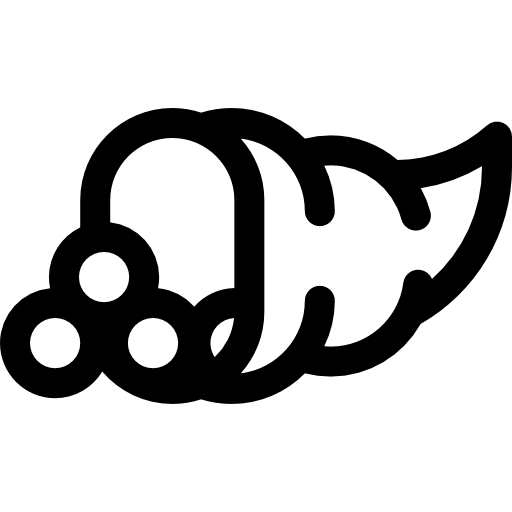 풍부 Basic Rounded Lineal icon