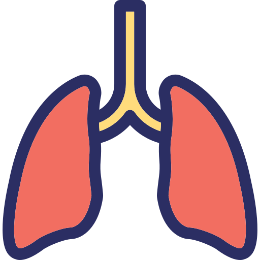 人間の肺 Generic color lineal-color icon