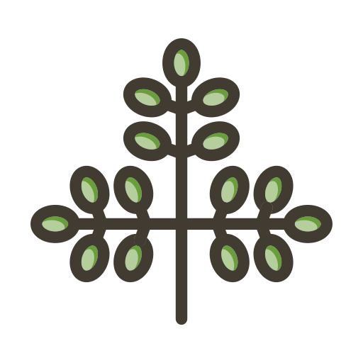 moringa Generic color lineal-color icon