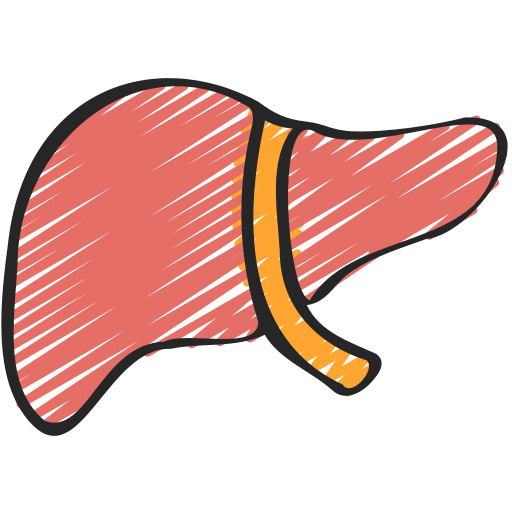 fígado Juicy Fish Sketchy Ícone