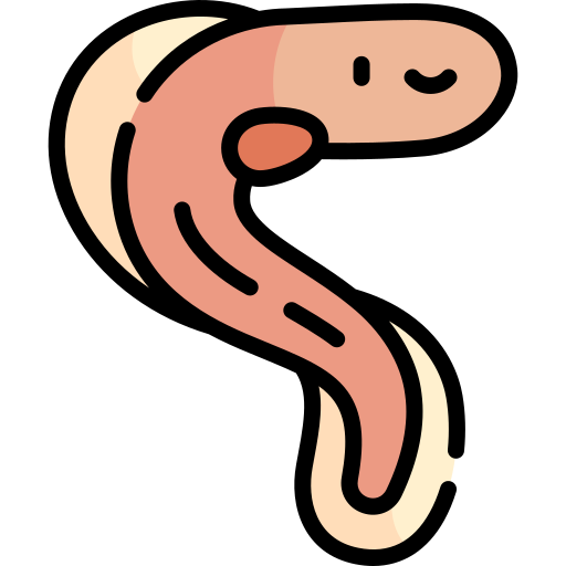anguila Kawaii Lineal color icono