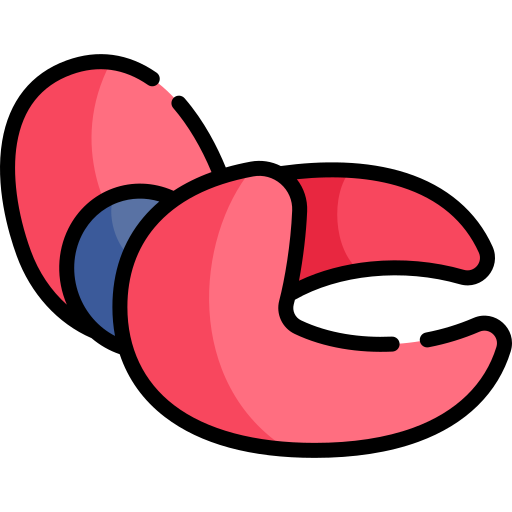 カニ Kawaii Lineal color icon