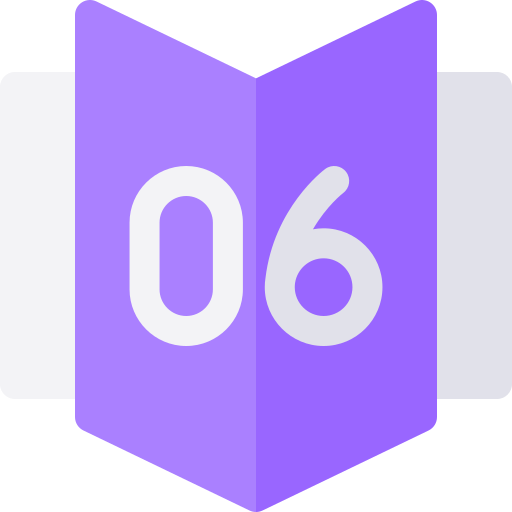 Number 6 Basic Rounded Flat icon