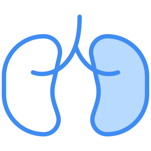 Kidney Generic color lineal-color icon