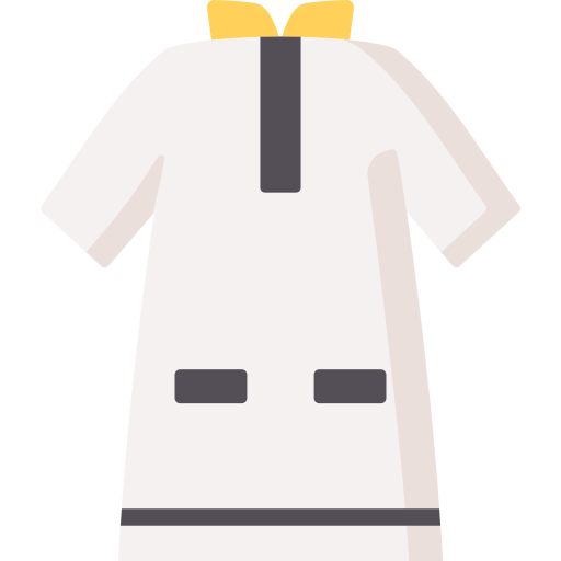 Tunic Special Flat icon