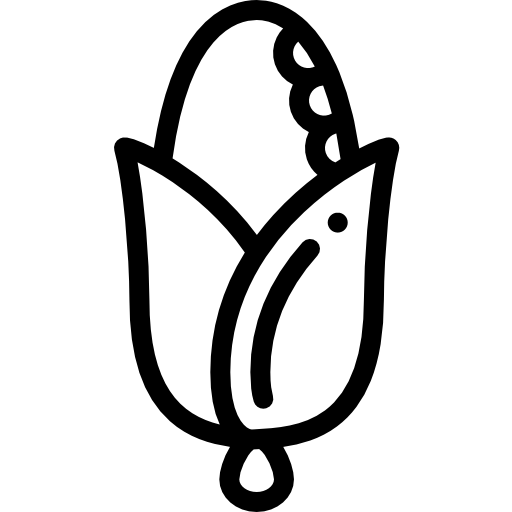 옥수수 Detailed Rounded Lineal icon
