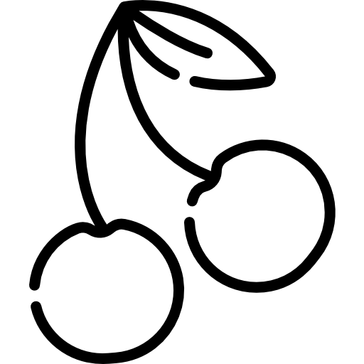 チェリー Special Lineal icon