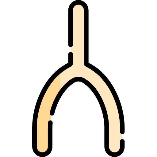 Wishbone Special Lineal color icon
