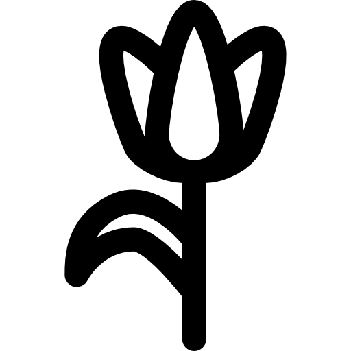 kwiat Curved Lineal ikona