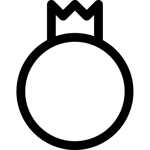석류 Basic Rounded Lineal icon