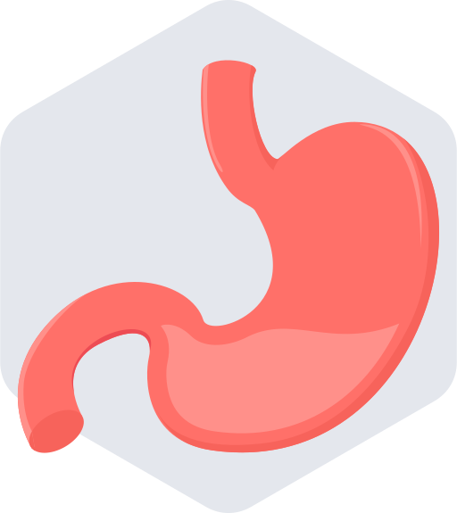 Stomach Generic Others icon