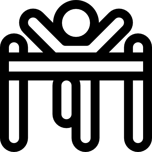 línea de meta Basic Rounded Lineal icono