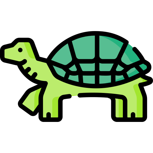 tartaruga Special Lineal color icona
