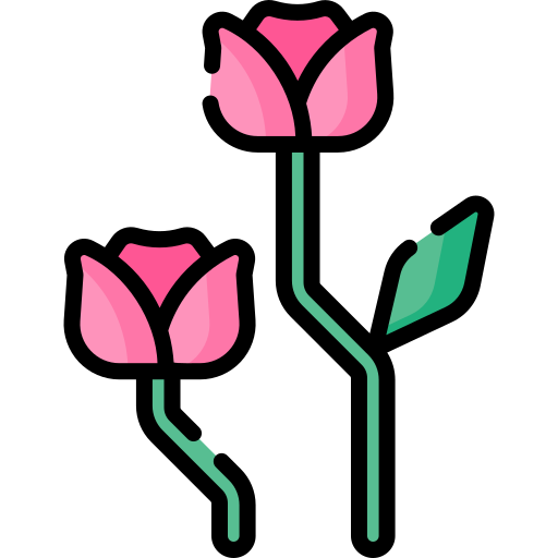 rosas Special Lineal color icono