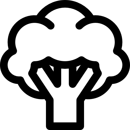 brocoli Basic Rounded Lineal Icône