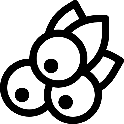 черника Basic Rounded Lineal иконка