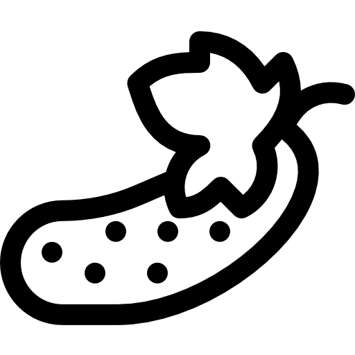 Огурец Basic Rounded Lineal иконка