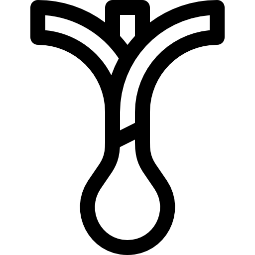 frühlingszwiebel Basic Rounded Lineal icon