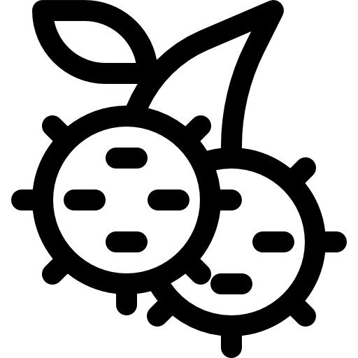 ramboutan Basic Rounded Lineal Icône