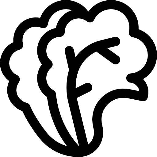insalata Basic Rounded Lineal icona