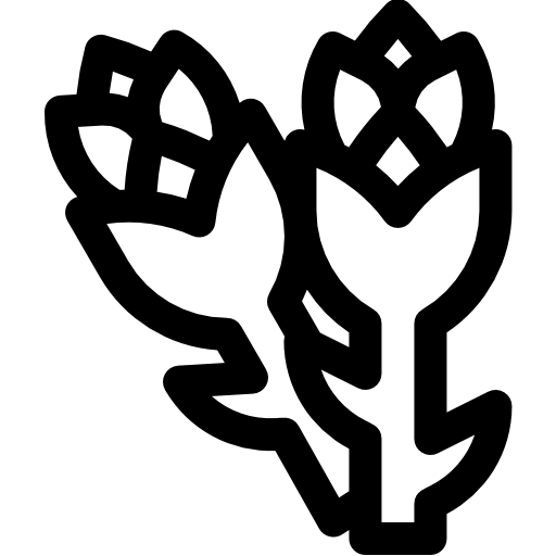 espárragos Basic Rounded Lineal icono