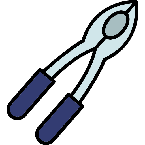 nussknacker Generic color lineal-color icon