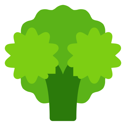 Broccoli Generic color fill icon