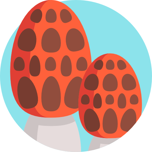 Mushroom Detailed Flat Circular Flat icon