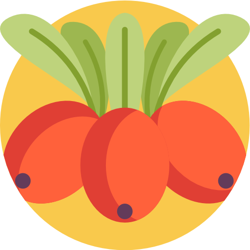 Berries Detailed Flat Circular Flat icon