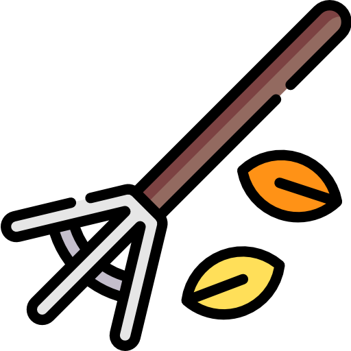 Rake Special Lineal color icon