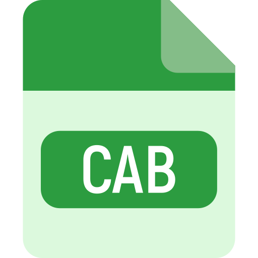 Cab Generic color fill icon