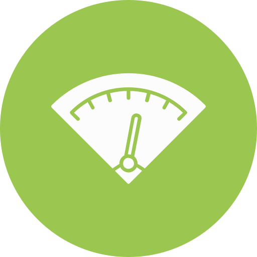 Gauge Generic color fill icon