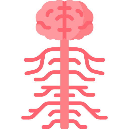 zenuwstelsel Special Flat icoon