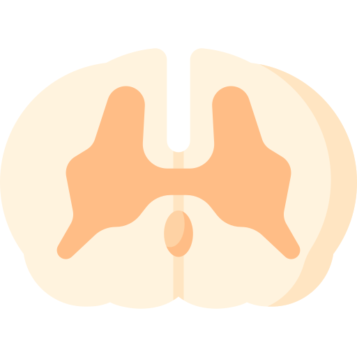 Spinal cord Special Flat icon