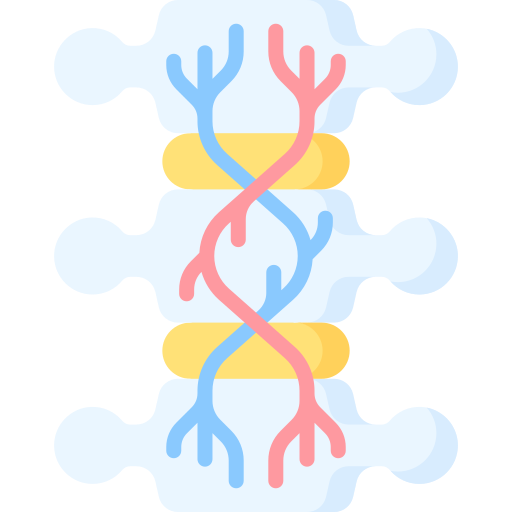 médula espinal Special Flat icono
