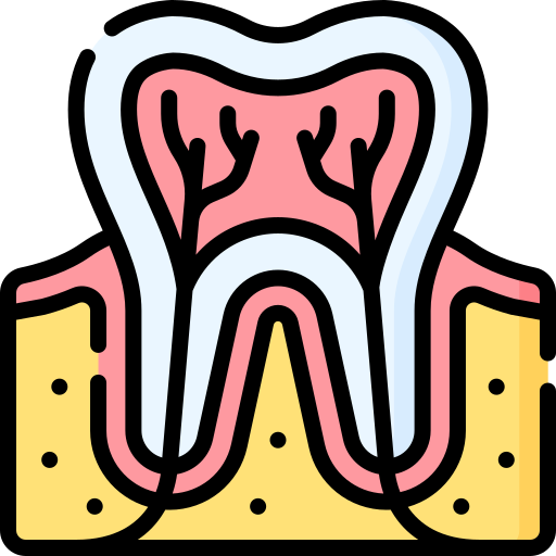 zahn Special Lineal color icon