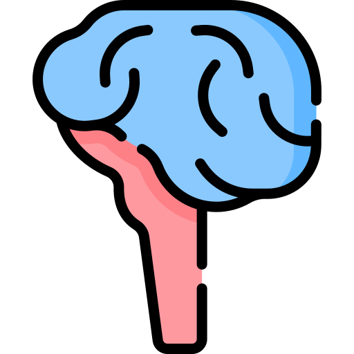 cervelet Special Lineal color Icône