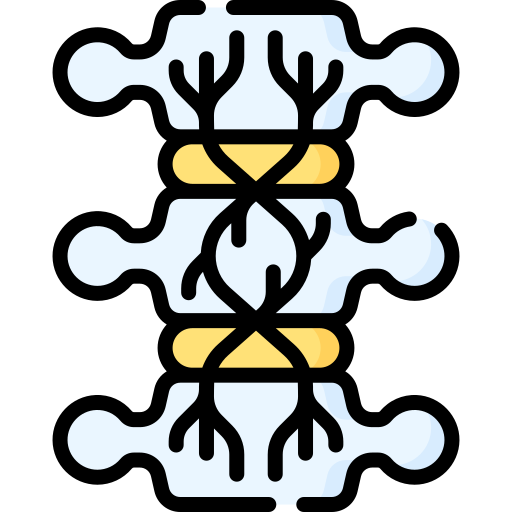 rückenmark Special Lineal color icon