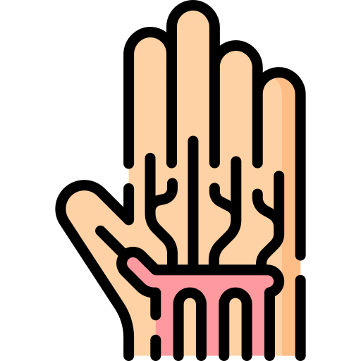 hand Special Lineal color icon