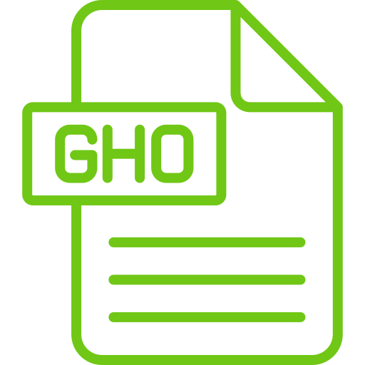 gho Generic color outline Icône
