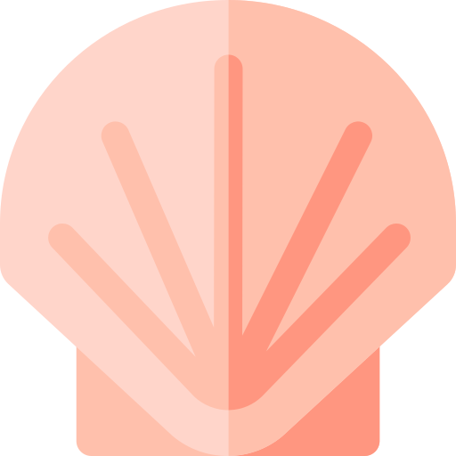 Scallop Basic Rounded Flat icon