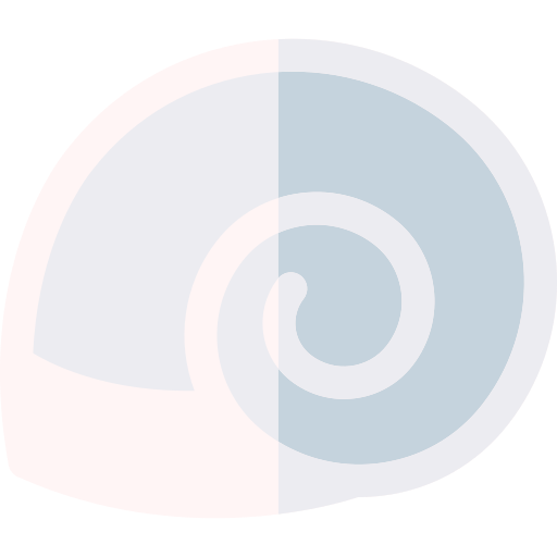 바다 달팽이 Basic Rounded Flat icon