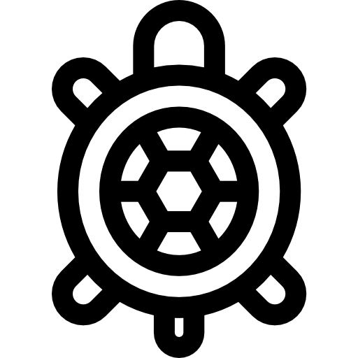 żółw Basic Straight Lineal ikona