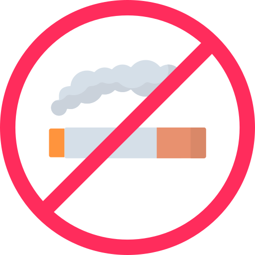 Non smoking room Special Flat icon