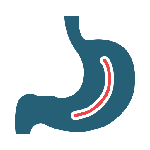 Gastroenterology Generic color fill icon