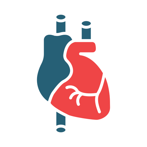 Cardiology Generic color fill icon