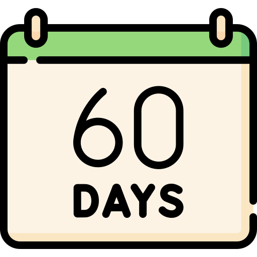 60 days Special Lineal color icon