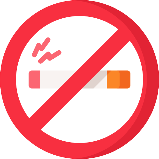 Курение запрещено Special Flat иконка