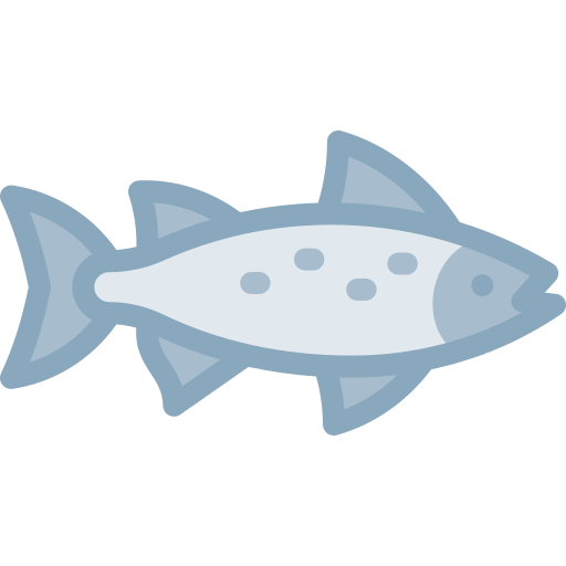 鮭 Detailed color Lineal color icon